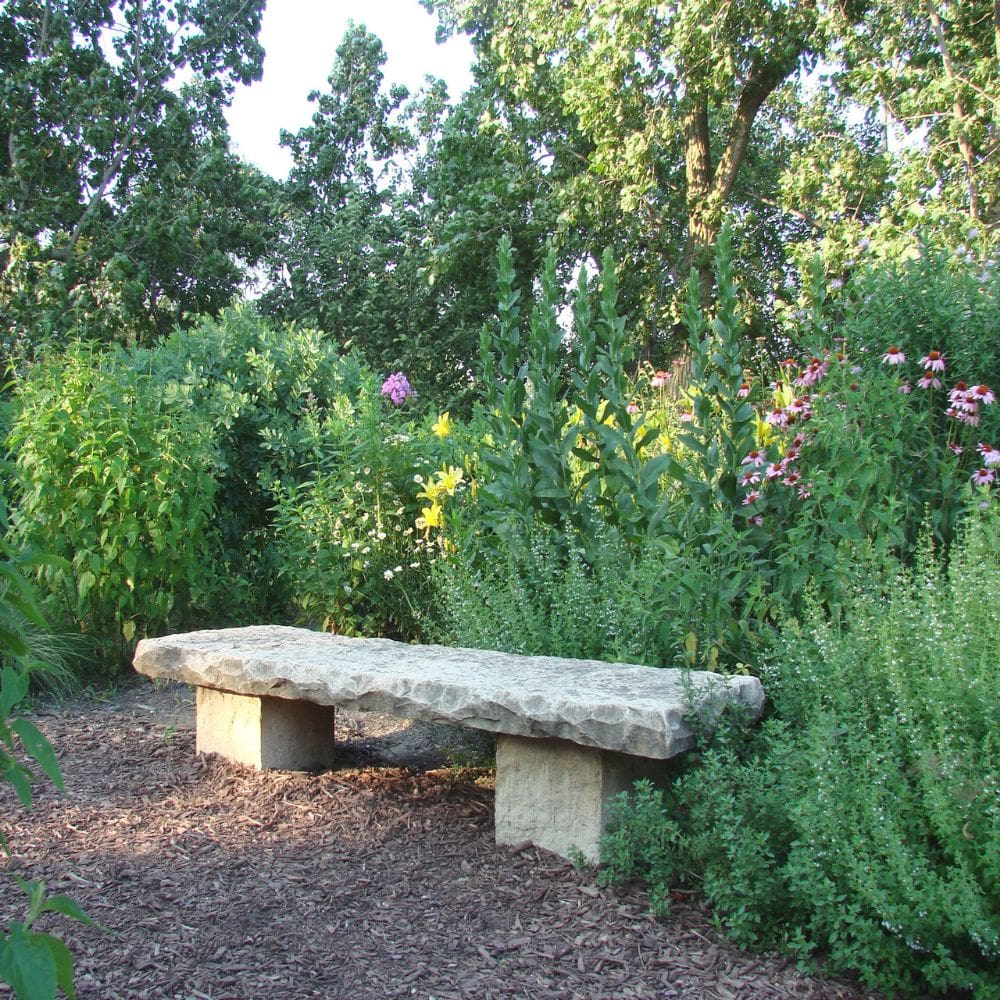 Trebol, Paisajismo y Proyectos -Jardineria-Milla de Oro-Barrio Salamanca-imagen-4